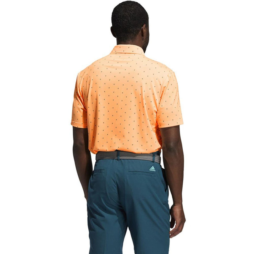 Acid Orange Wild Teal