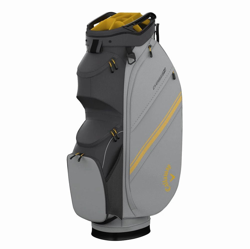 Charcoal/Silver/Goldenrod