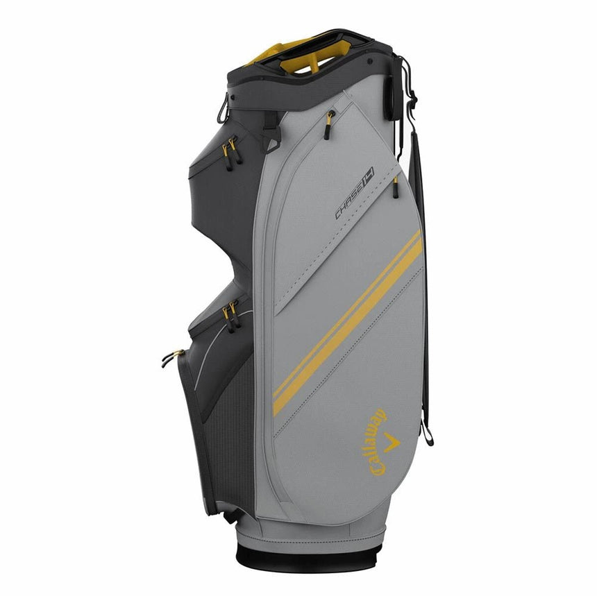 Charcoal/Silver/Goldenrod