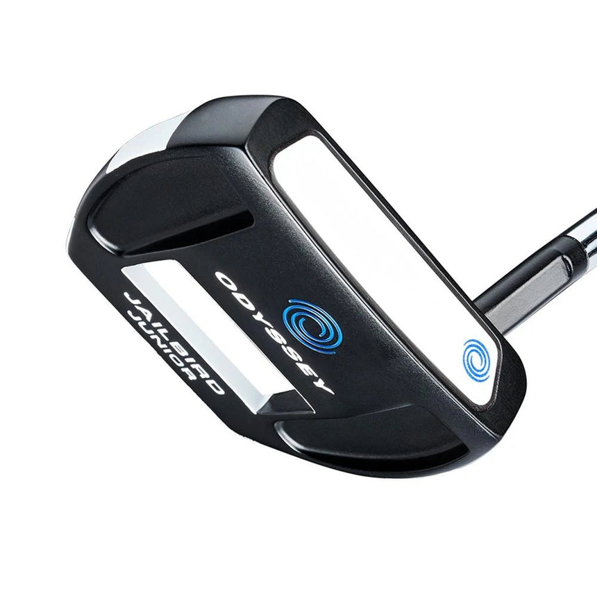 Blue/White