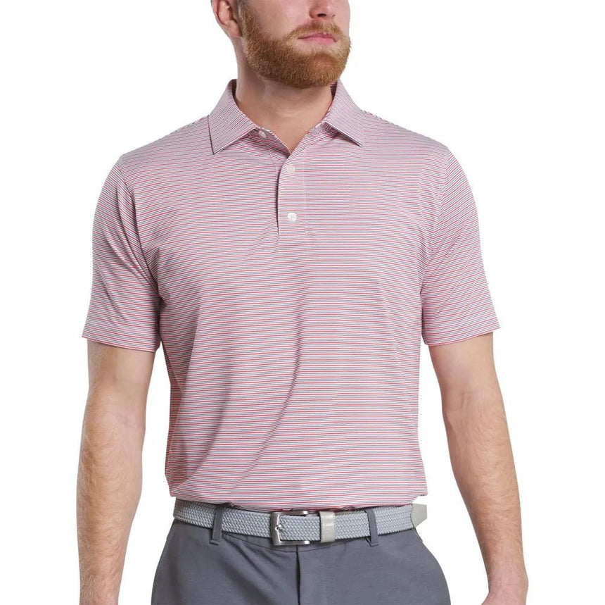 White Hibiscus Black