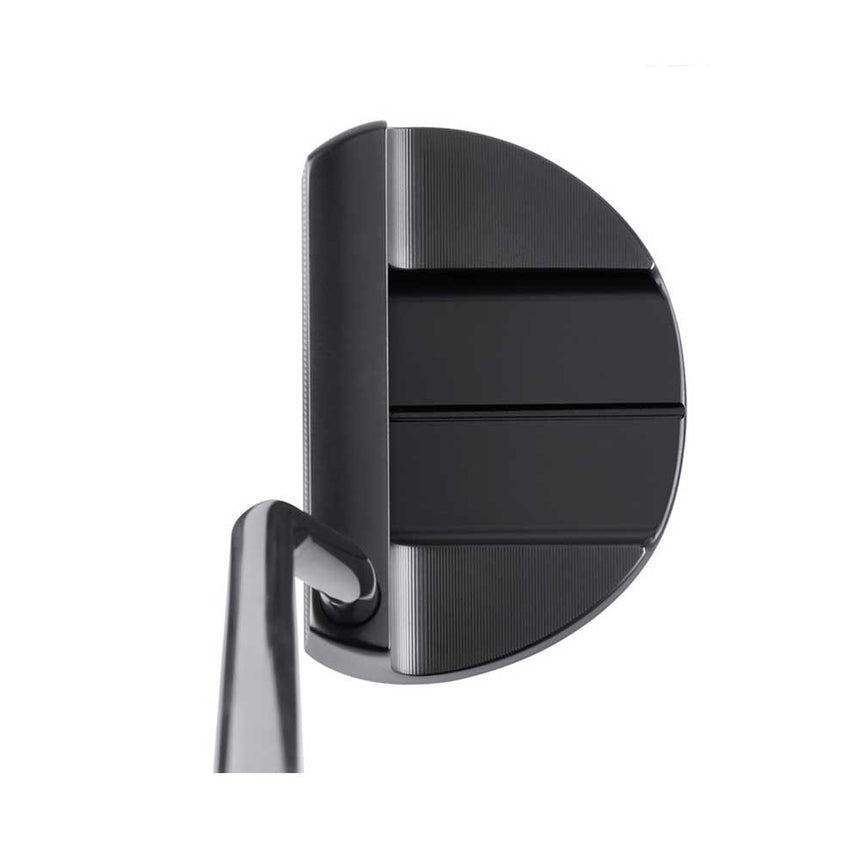 Black Ion