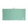 Light Aqua