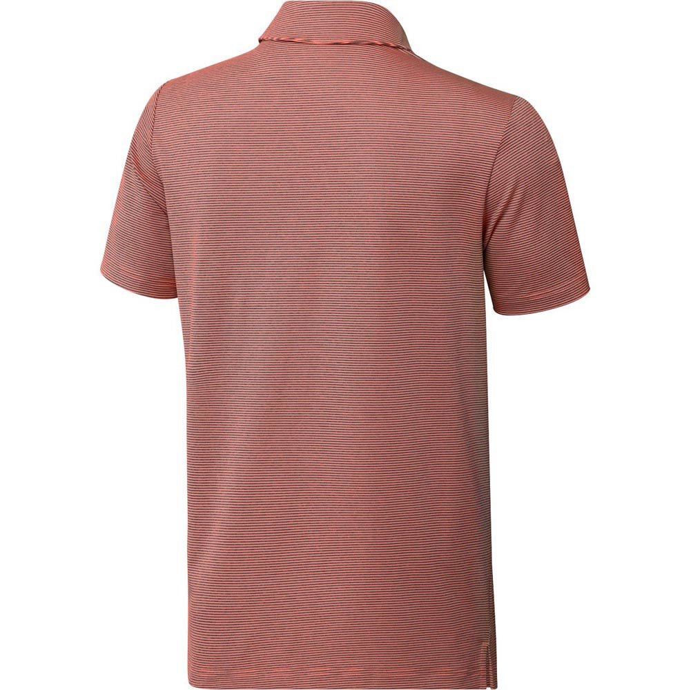 Coral Fusion Grey Six