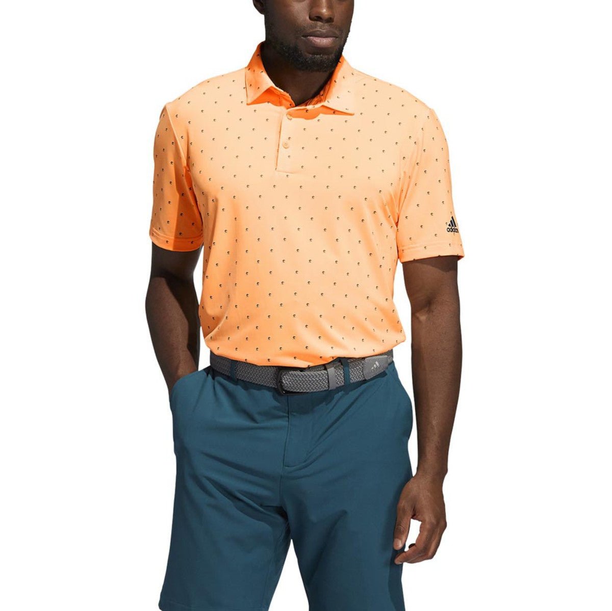 Acid Orange Wild Teal