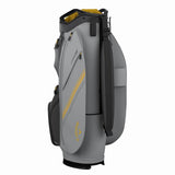 Charcoal/Silver/Goldenrod