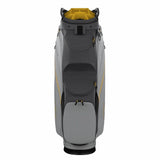 Charcoal/Silver/Goldenrod