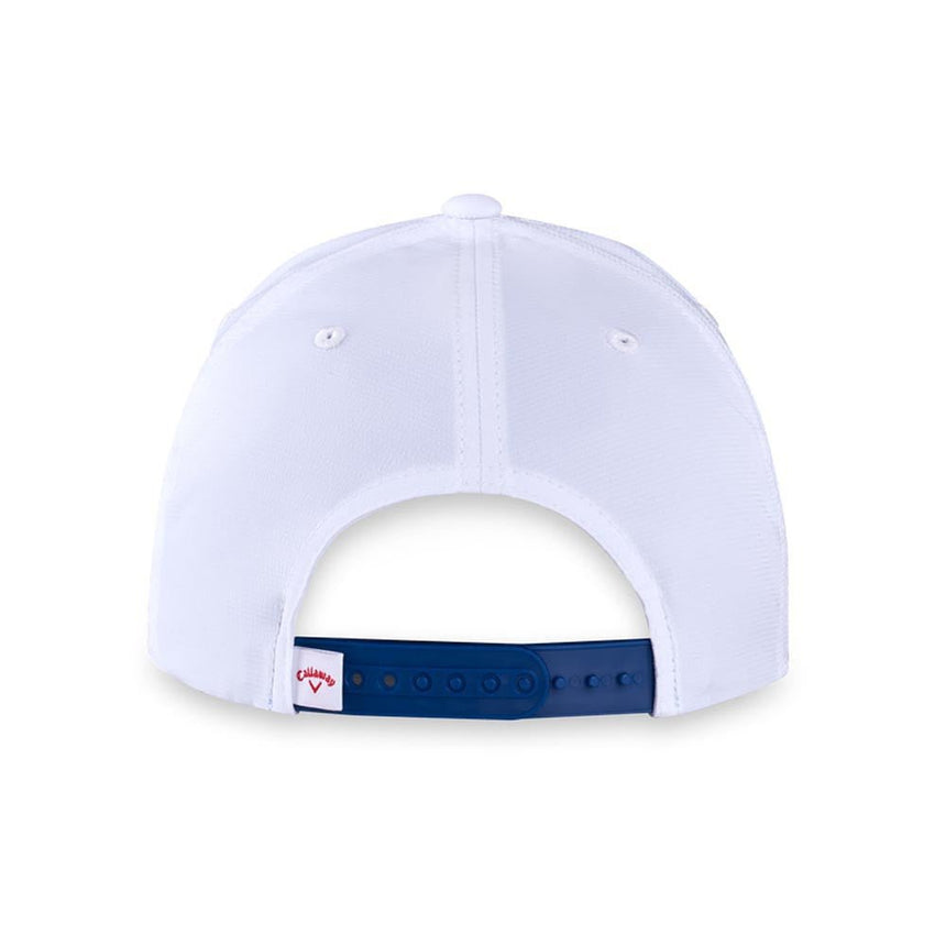 White Navy