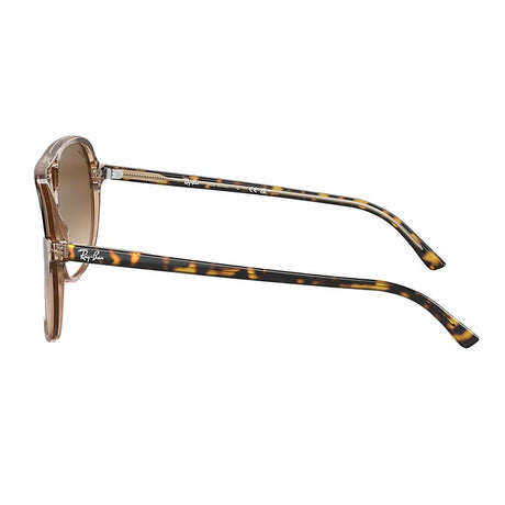 Ray-Ban Bill - Polished Havana on Transparent Brown/Light Brown