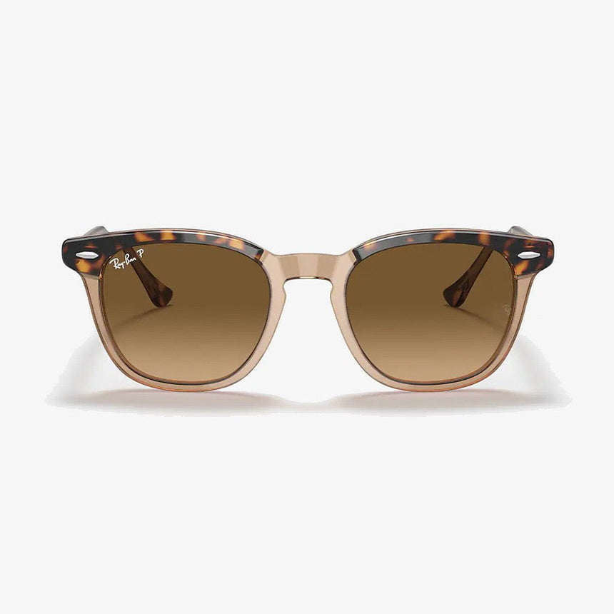 Hawkeye - Havana Transparent Brown/Brown Gradient Polarized