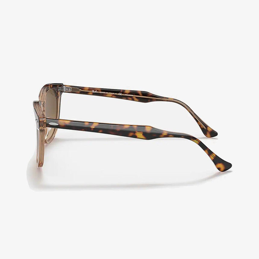 Hawkeye - Havana Transparent Brown/Brown Gradient Polarized