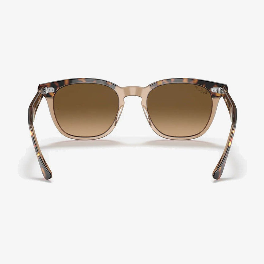 Hawkeye - Havana Transparent Brown/Brown Gradient Polarized