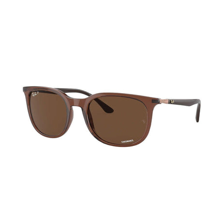 Ray-Ban RB4386 - Transparent Brown/Polarized Brown Chromance