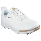 White/Gold