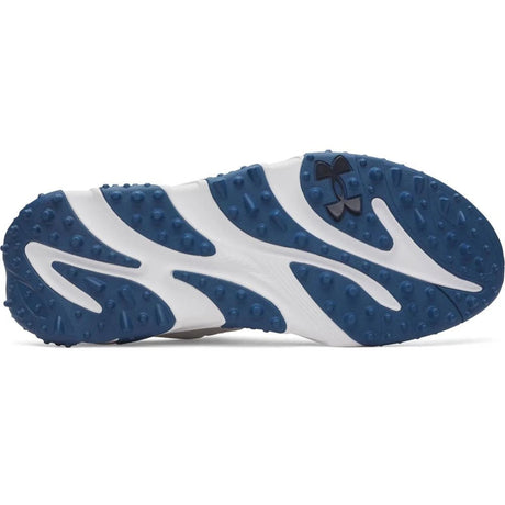 White/Metallic Silver