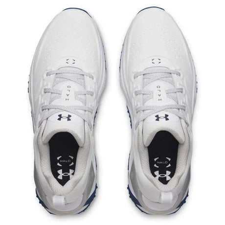 White/Metallic Silver