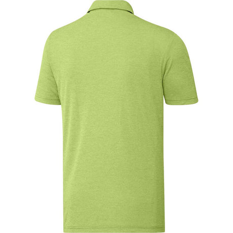 Pulse Lime