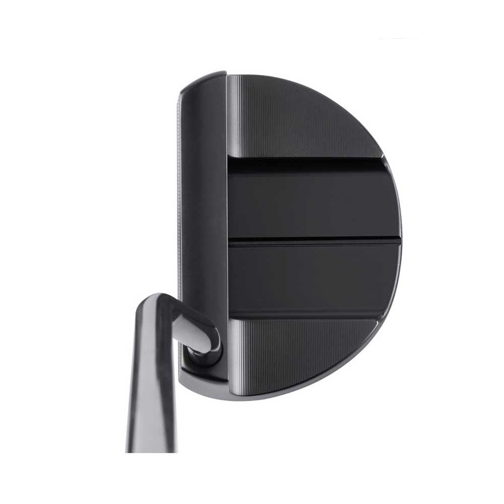 Black Ion