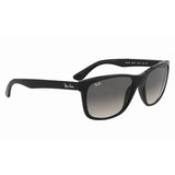 Ray-Ban RB4181 - Black/Grey Gradient
