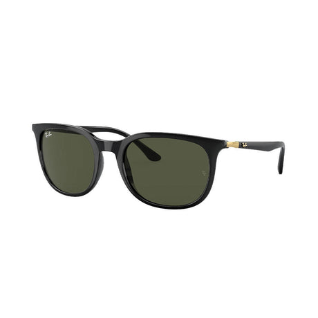 Ray-Ban RB4386 - Black/Green